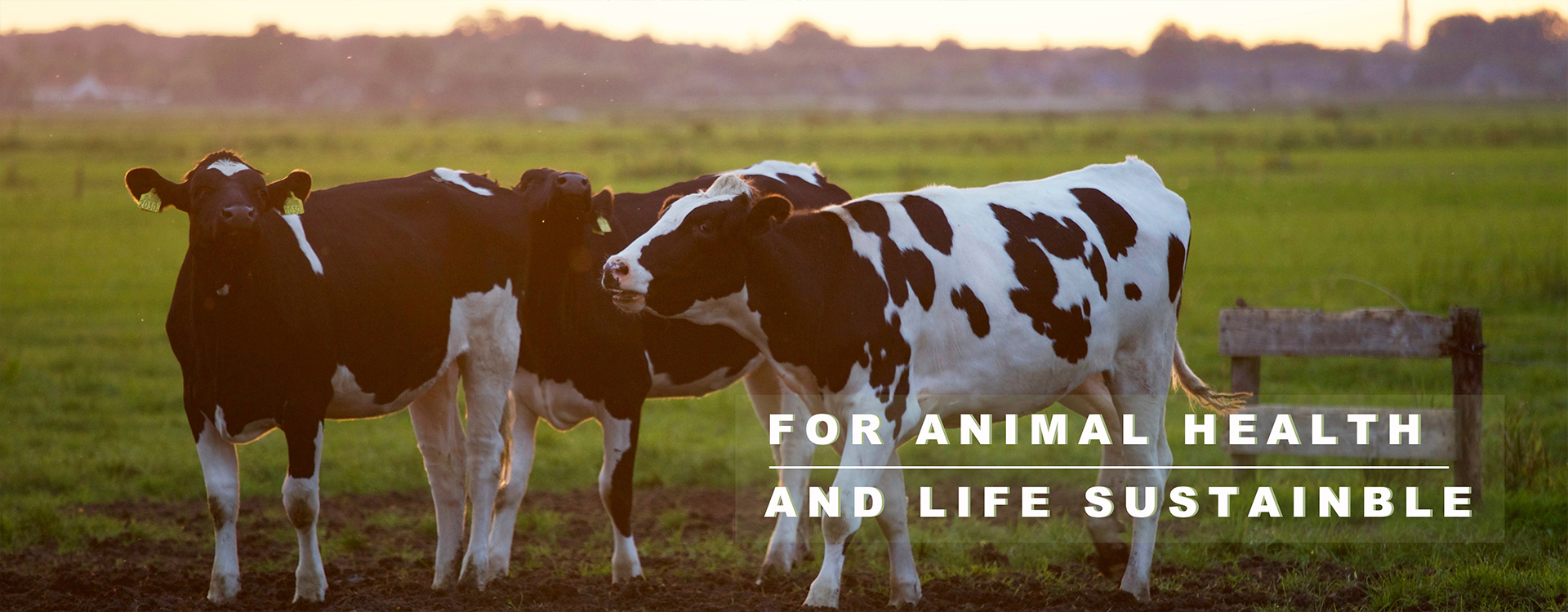 For Animal Health and Life Sustainble